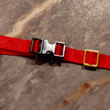 2x rote Spanngurte 